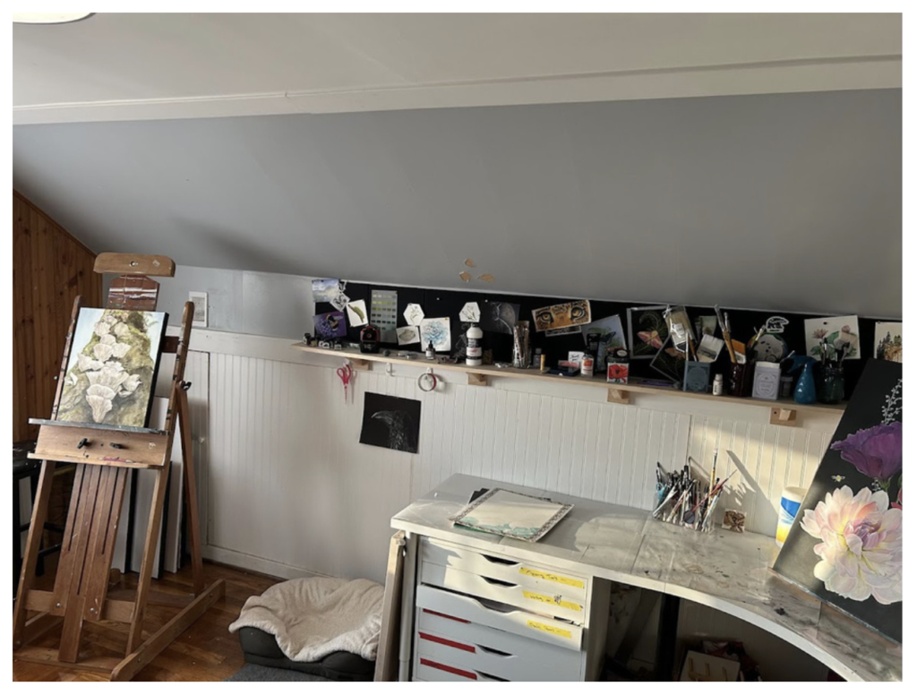 Shauna Chesney Studio