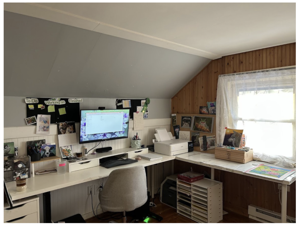 Shauna Chesney Studio